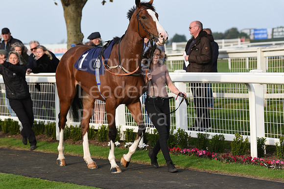 Gt_Yarm_Season_Finale_19Oct_2021-134