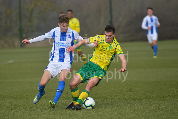 NB_020_NCFC_U18_Brighton