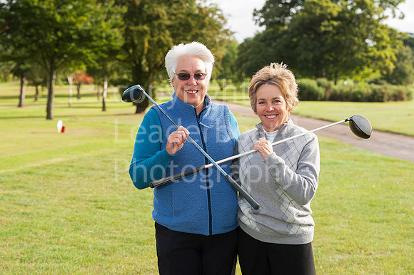 NB_PING_PLATE