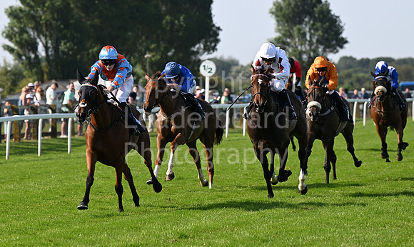 Gt_Yarm_July_30_2024-274