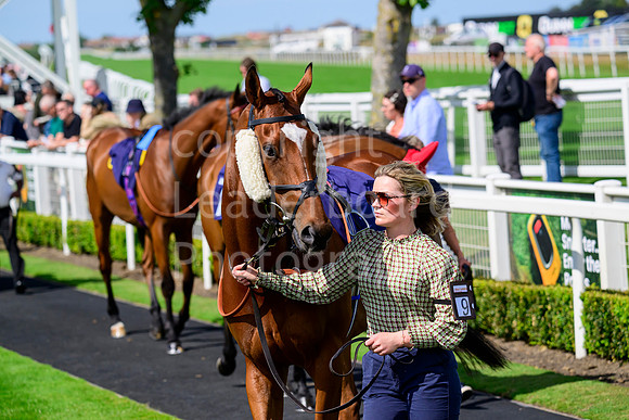 NZ9_4194