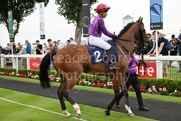 Gt_Yarm_July25_Racing_League_2024-127