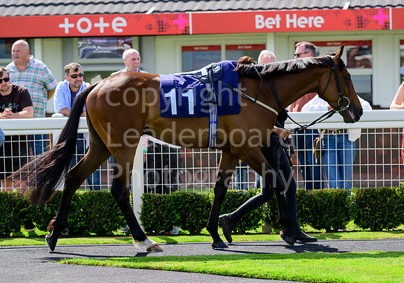 NZ9_4170