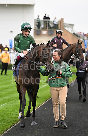 Gt_Yarm_Ladies Night_2025-91