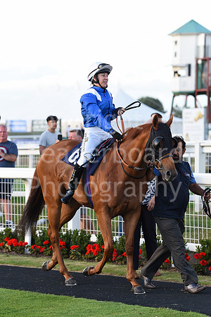 Gt_Yarm_3_Aug_2022-162