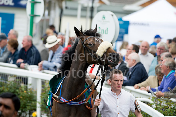 LB_Yarouth_races_2016_0386