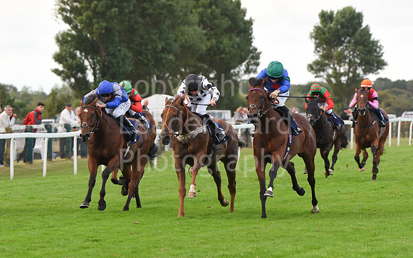 Gt_Yarm_14_Sept_2022-182