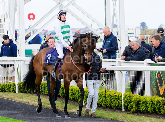NZ9_3812