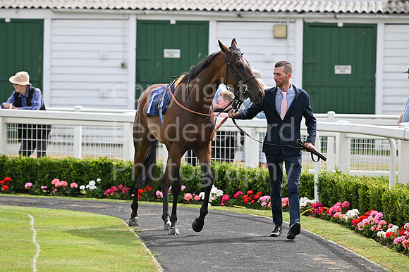 Gt_Yarm_Aug_8_2024-35