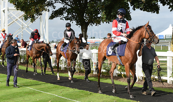 Gt_Yarm_Races_24_Aug_2021-231