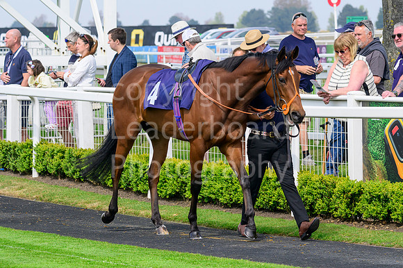 NZ9_5219