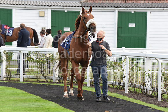 Gt_Yarmouth_Races_230Aug-141
