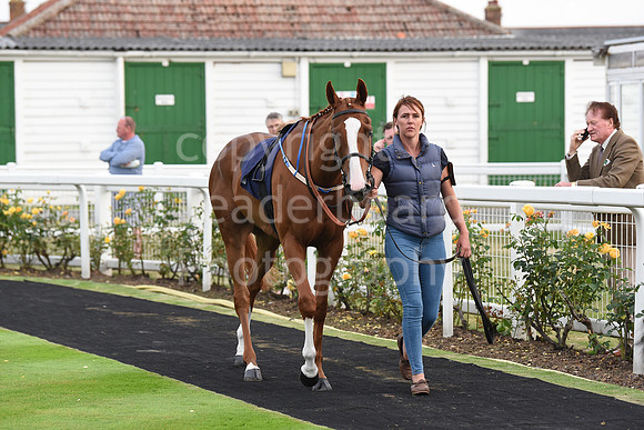 Yarm_Races_17July-66