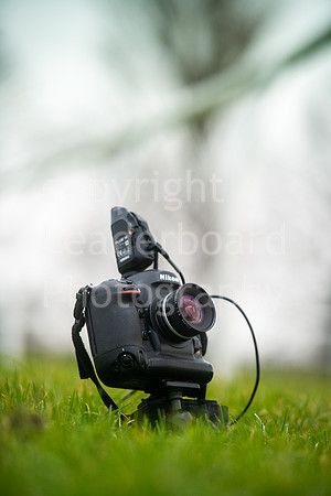 LBP_5961