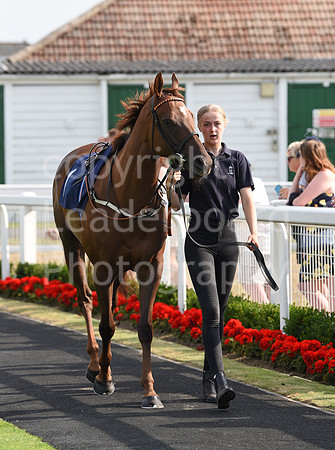 Gt_Yarm_13_July_2022-5