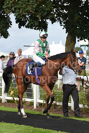 Gt_Yarm_Races_24_Aug_2021-226