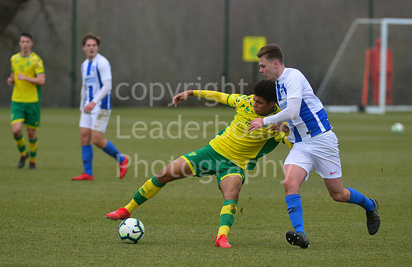 NB_059_NCFC_U18_Brighton