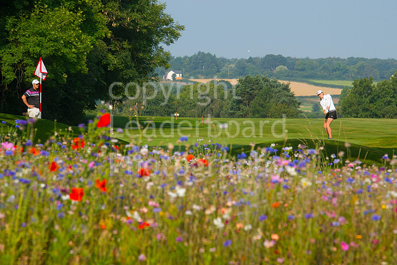 LB_Womens_Stroke_Play_2016_2132
