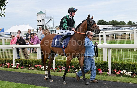 Gt_Yarm_25_Aug_Family_Raceday_2024-226