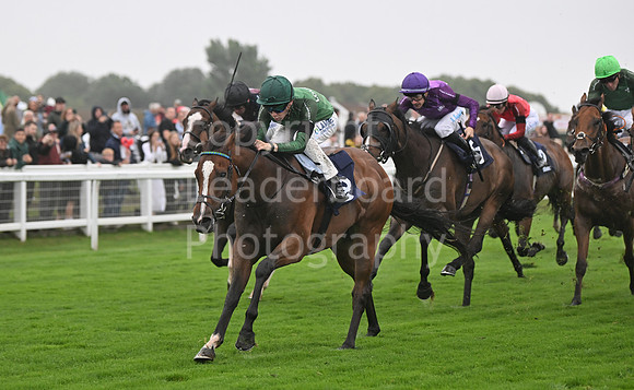 Gt_Yarm_Ladies Night_2025-68