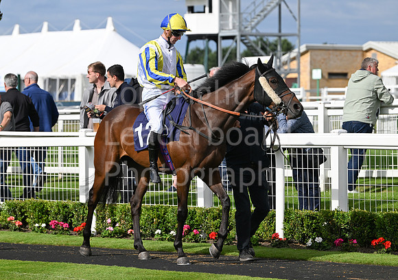 Gt_Yarm_Racing_July_10_-254
