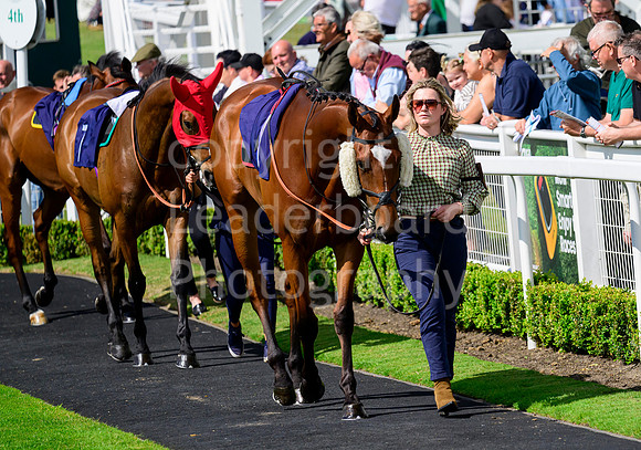 NZ9_4180