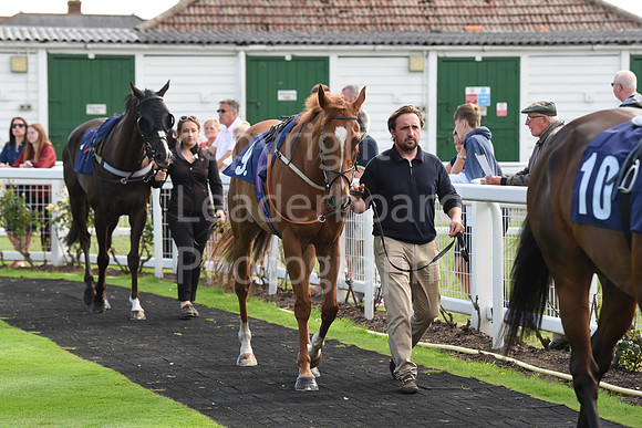 Gt_Yarm_Races_24_Aug_2021-184