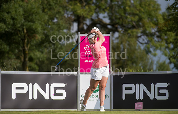 LB_016_Ping_2017_Grand_Final