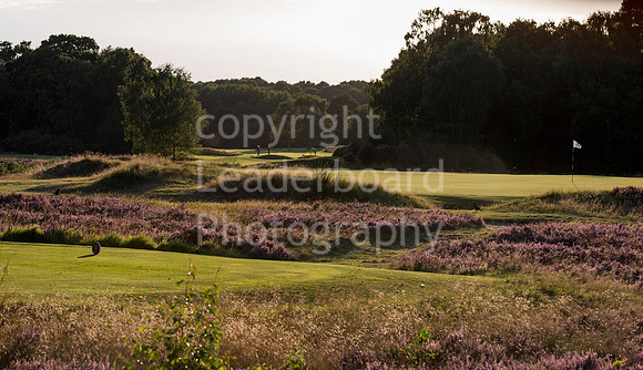 LB_011_Woodhall_Spa_Course