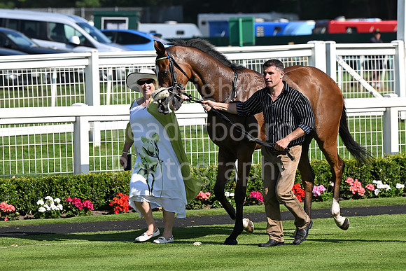 Gt_Yarm_July_30_2024-240