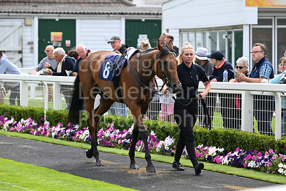 Gt_Yarm_28_July_2025-48