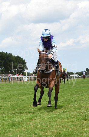 34_GY_8_Aug_Pony_Racing