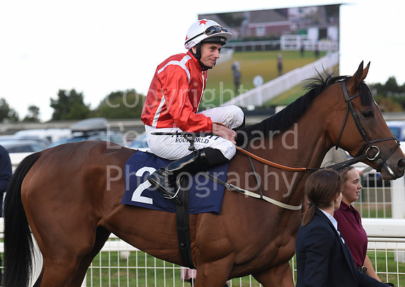 Gt_Yarm_15_Sept_2022-215