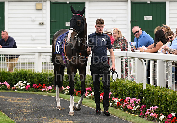 Gt_Yarm_19_Aug_Evening_Race-91