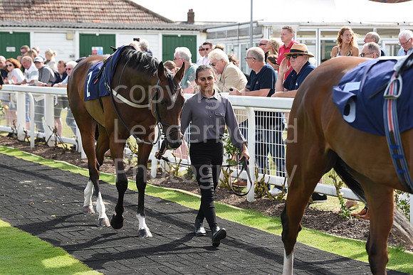 Gt_Yarm_Racing_5th_Aug_2021-99