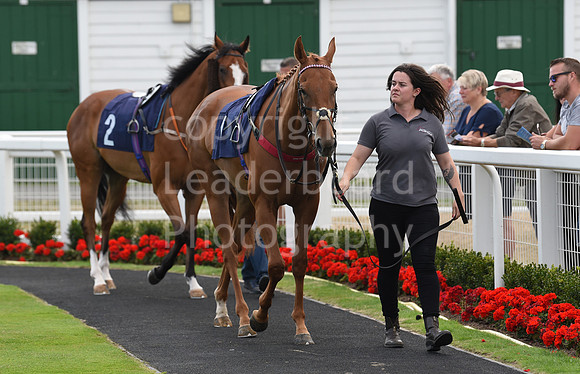 Gt_Yarm_4 Aug_2022-1