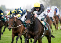 Great Yarmouth races May 28th 2013