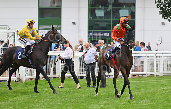 Gt_Yarm_19_Aug_Evening_Race-100
