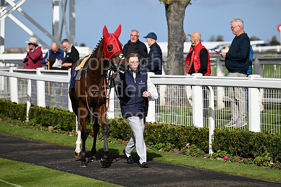 Gt_Yarm_Oct_7_2024-3