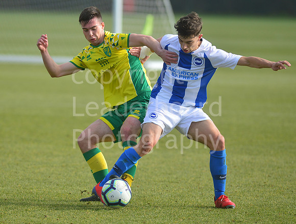 NB_009_NCFC_U18_Brighton