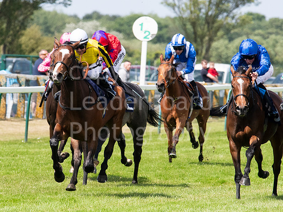 LB_GYR_140618_0138