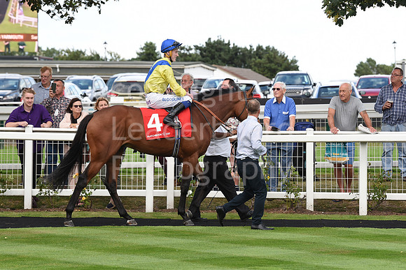 28_GY_Racing_7_Aug