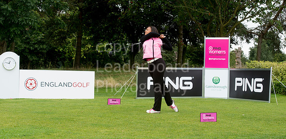 LB_Ping_Plate_2016_0327