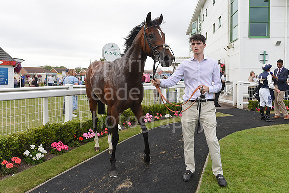 Gt_Yarm_Aug_8_2024_Groom-6