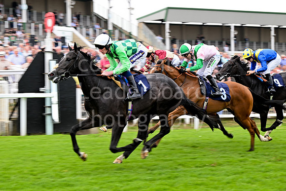 Gt_Yarm_19_Aug_Evening_Race-83