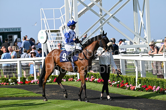 Gt_Yarm_July_30_2024-259