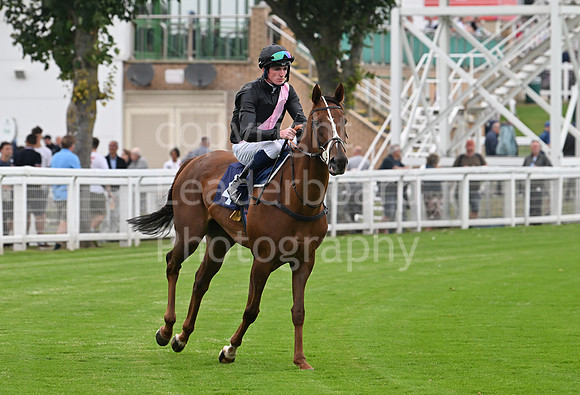 Gt_Yarm_19_Aug_Evening_Race-110
