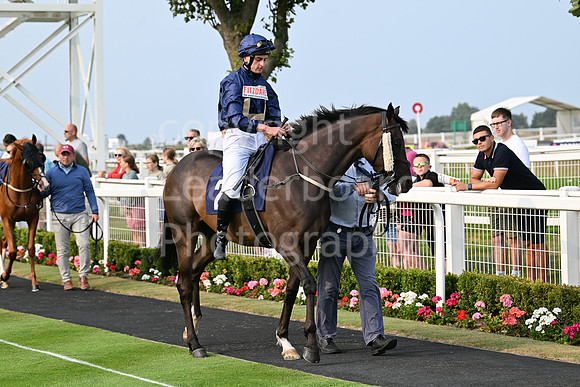 Gt_Yarm_19_Aug_Evening_Race-5