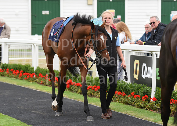 Gt_Yarm_30_June_2022-27