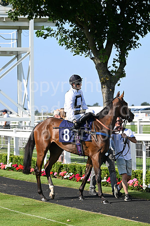 Gt_Yarm_July_30_2024-261